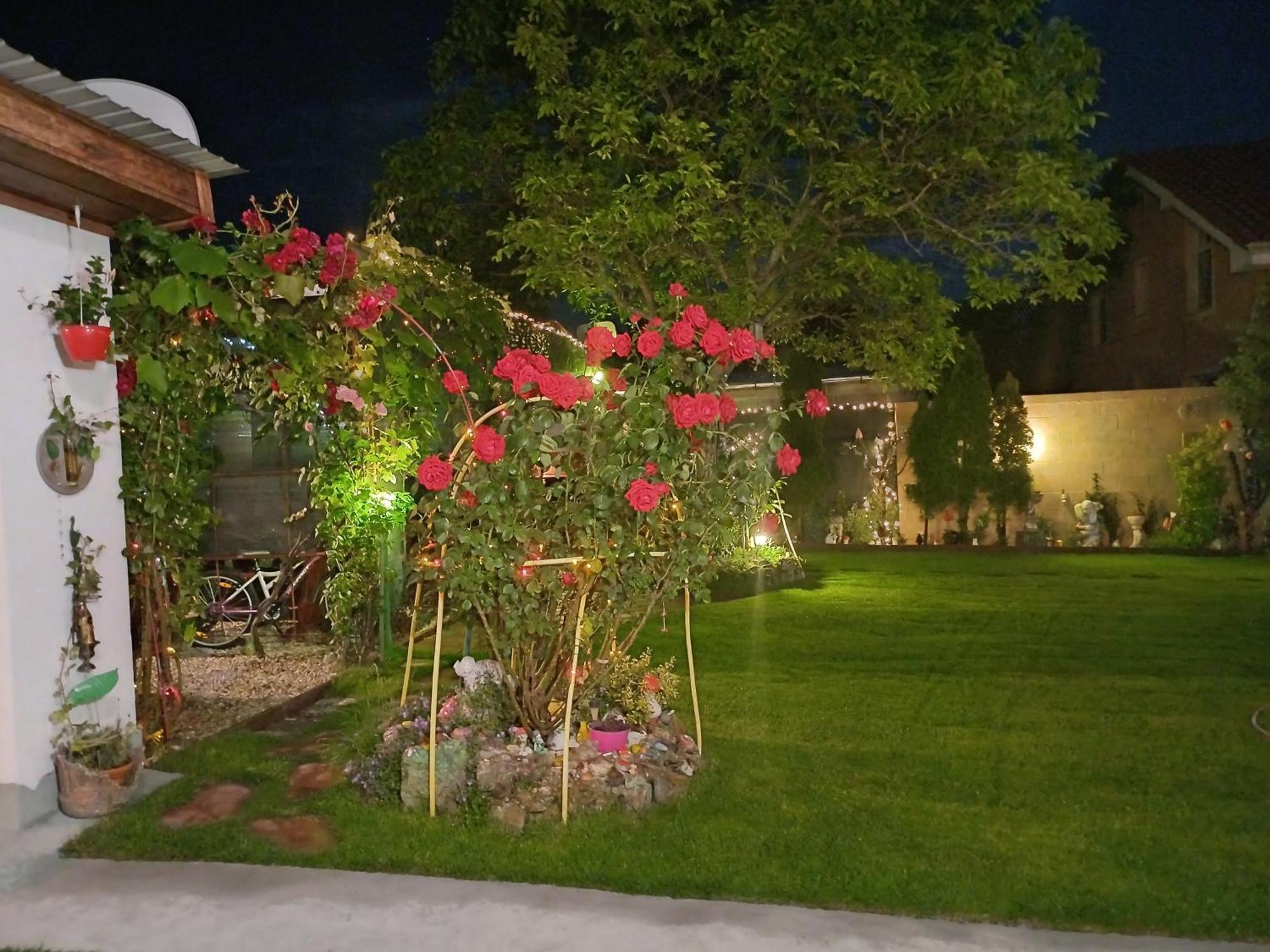 Casa Marinela 호텔 바일레펠릭스 외부 사진
