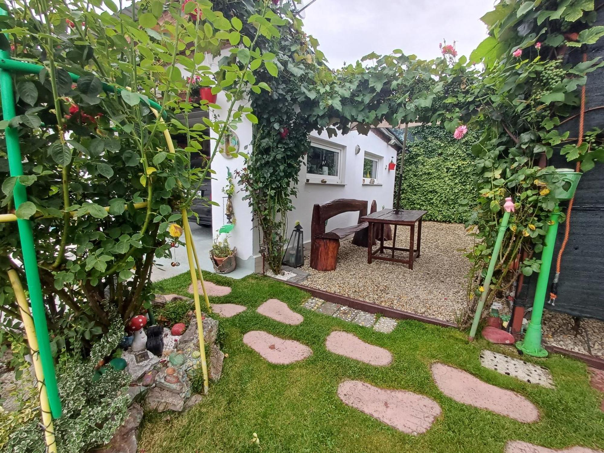 Casa Marinela 호텔 바일레펠릭스 외부 사진